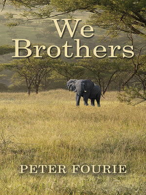 cover image of We Brothers